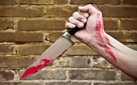 AİLE İÇİ TARTIŞMADA BİR KİŞİ ANNESİNİ VE BABASINI BIÇAKLADI