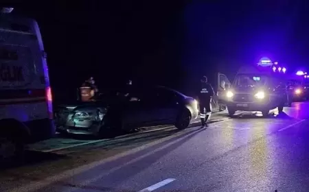 Karabük 'te Domuz Sürüsü Faciaya Neden Oldu: 6 Yaralı