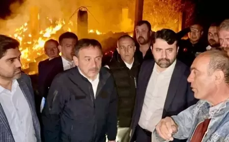 Vekiller Yangın Bölgesinde