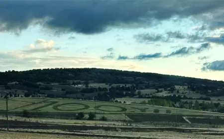 Eflanili Çiftçinin Cumhuriyet Aşkı: Tarlasına 100. Yıl Yazdı