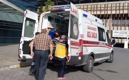 Karabük’te Ağaç Budarken Düşen Yaşlı Adam Yaralandı