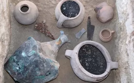 Hadrianopolis’te 1600 Yıllık Tohumlar Gün Yüzüne Çıktı