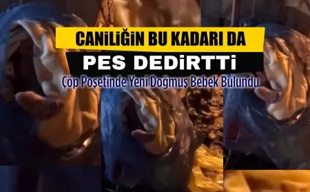Caniliğin Bu Kadarı: Çöp Poşetinde Bebek Bulundu