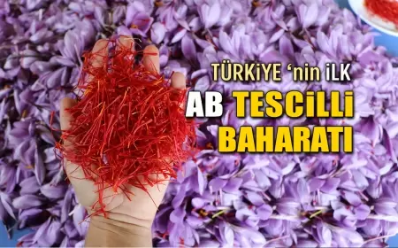 Safranbolu Safranı AB’den Coğrafi İşaret Tescili Aldı