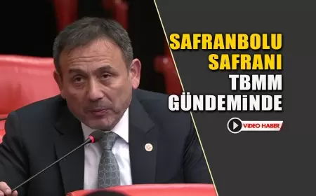 Safranbolu Safranı TBMM Gündeminde