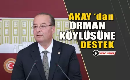 CHP’li Akay Orman Köylüsünün Sesi Oldu
