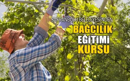 Safranbolu Belediyesi'nden Ücretsiz Bağcılık Eğitimi Kursu