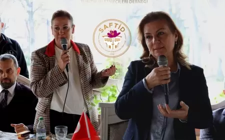 SAFTİD, 20. Yılını Safranbolu Belediye Başkanı Elif Köse ile Kutladı