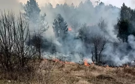Karabük’te Örtü Yangını Kontrol Altına Alındı