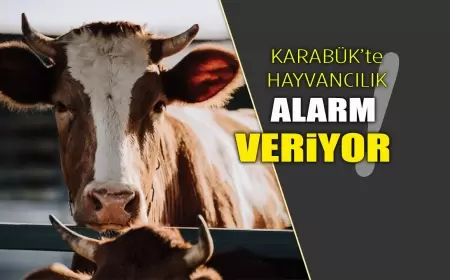 Karabük’te Hayvancılık Alarm Veriyor