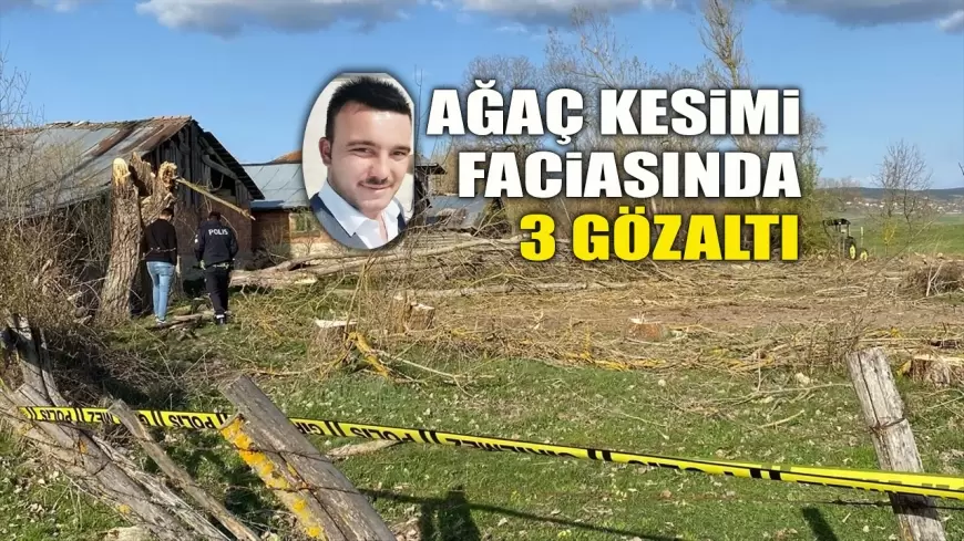 EFLANİ'DE AĞAÇ KESİMİ FACİASINDA ÜÇ GÖZALTI