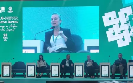 SAFRANBOLU UNESCO ŞEHRİ OLARAK UCLG-MEWA KÜLTÜR ELÇİLİĞİ ADAYI!