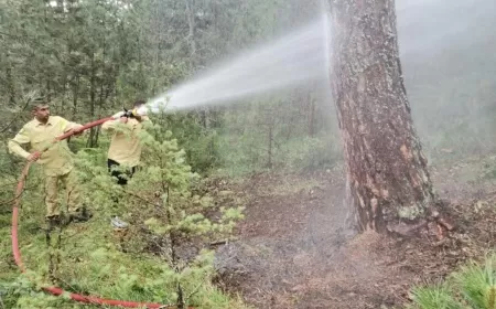 EFLANİ'DEKİ YANGIN BÜYÜMEDEN SÖNDÜRÜLDÜ