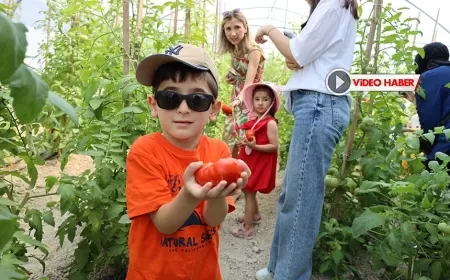SAFRANBOLU'DA ÇOCUKLAR TARIMLA BULUŞTU: EĞİTİCİ VE EĞLENCELİ BİR DENEYİM