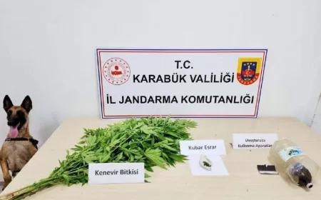 KARABÜK'TE UYUŞTURUCU OPERASYONU: 10 KÖK KENEVİR VE ESRAR ELE GEÇİRİLDİ