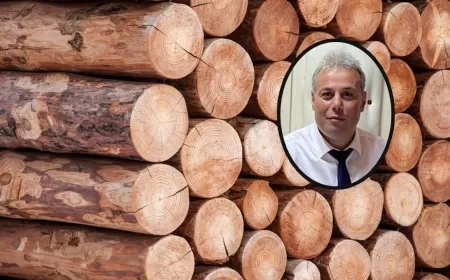 YENİCE'DE KAZA: ORMAN İŞÇİSİ TOMRUK ALTINDA CAN VERDİ