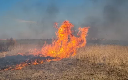 SAFRANBOLU'DA ANIZ YANGINI ALARMI: İTFAİYE HIZLA MÜDAHALE ETTİ