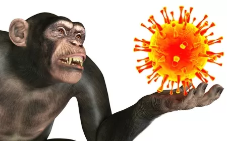 MAYMUN ÇİÇEĞİ ENDİŞESİ: KBÜ'DEKİ AFRİKALI ÖĞRENCİLER GÜNDEMDE