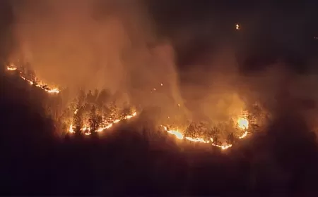 OVACIK ORMAN YANGINI KONTROL EDİLEMİYOR