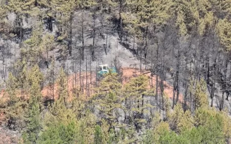 54 SAAT SONRA KONTROL ALTINA ALINAN OVACIK'TAKİ YANGINDA 80 HEKTAR KÜL OLDU