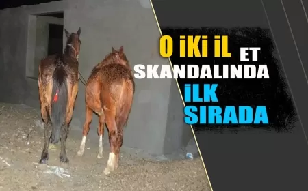 O İKİ İL AT VE EŞEK ETİ SKANDALINDA ÖN PLANDA