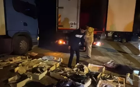 BALIK YÜKLÜ TIR'DAN YOLA 300 KASA PALAMUT DÖKÜLDÜ, BARTIN-KARABÜK YOLU 1,5 SAAT KAPANDI