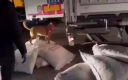 KARABÜK'TE BİBER YÜKLÜ TIR'DA 991 GRAM METAMFETAMİN ELE GEÇİRİLDİ