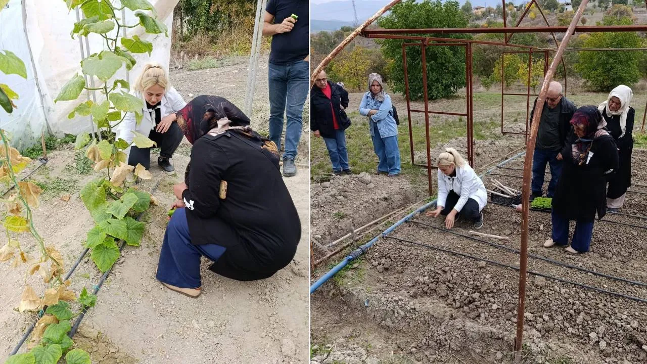 SAFRANBOLU’DA ÜCRETSİZ FİDE YETİŞTİRME EĞİTİMİ!