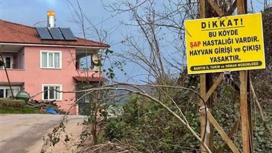 Bartın’da Şap Hastalığı Alarmı: 12 Köy Karantinada, 39 Köy Gözetimde