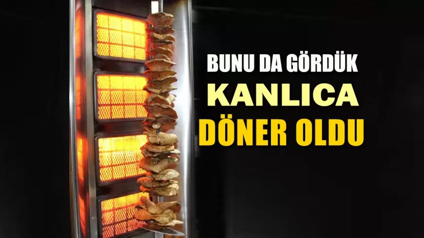 Bunu da Gördük Kanlıca Mantarı Döner Oldu