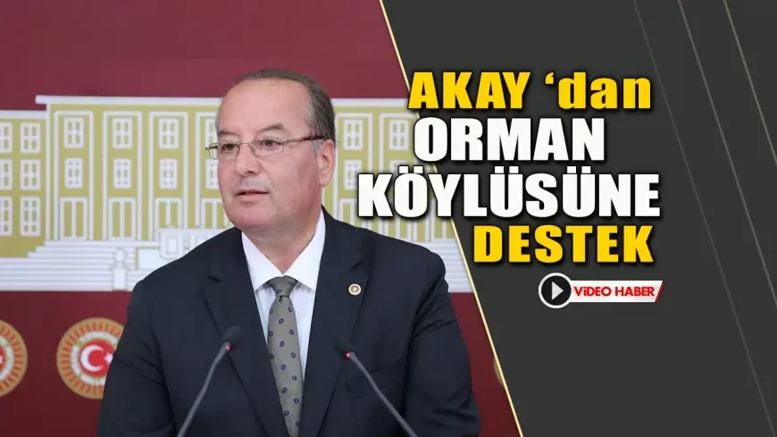 CHP’li Akay Orman Köylüsünün Sesi Oldu