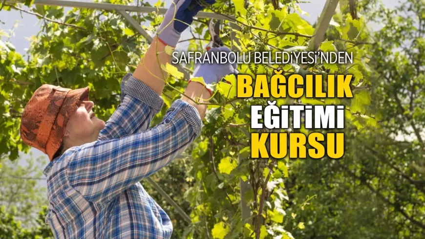 Safranbolu Belediyesi'nden Ücretsiz Bağcılık Eğitimi Kursu