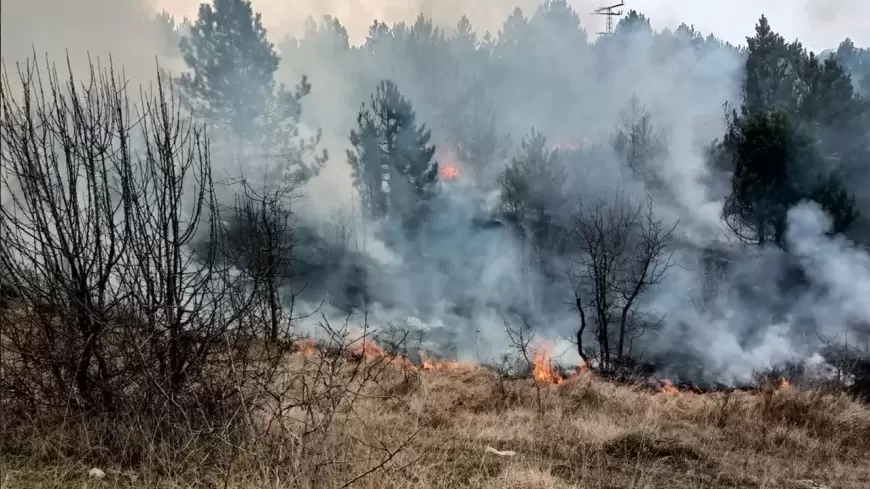 Karabük’te Örtü Yangını Kontrol Altına Alındı