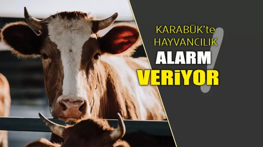 Karabük’te Hayvancılık Alarm Veriyor