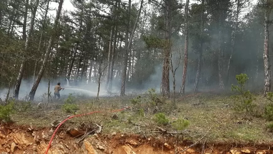 KARABÜK EFLANİ'DE ÇIKAN ÖRTÜ YANGINI BAŞARIYLA SÖNDÜRÜLDÜ