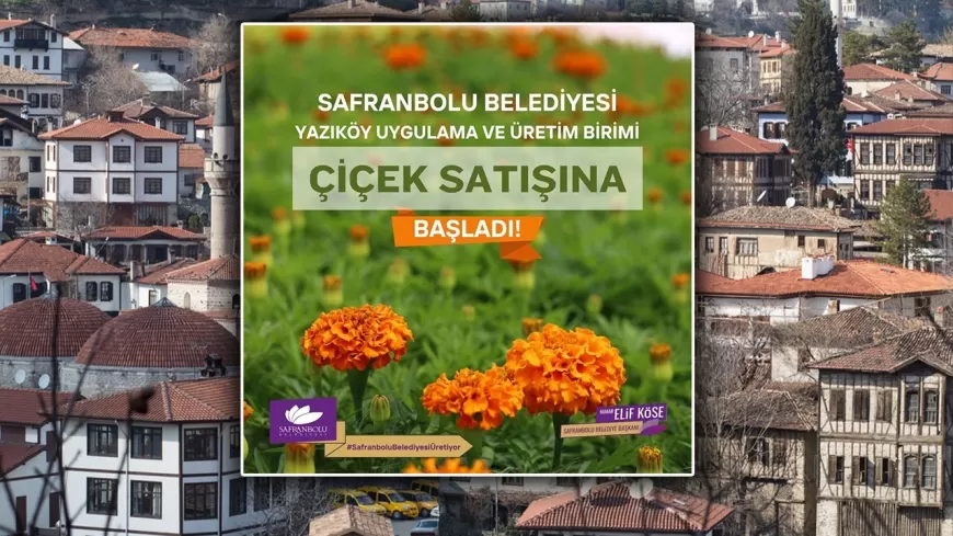 SAFRANBOLU BELEDİYESİ ÇİÇEK SATIŞINA BAŞLADI