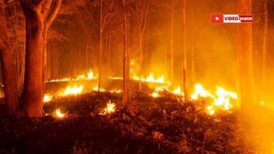 Karabük Aladağ'da çıkan orman yangını paniğe neden oldu. Ekiplerin hızlı
