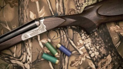 Karabük Safranbolu'da mantar toplarken arkadaşını yabani hayvan sanan bir kişi,