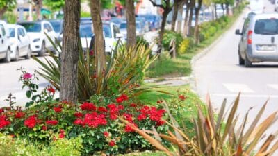 SAFRANBOLU YAZ MEVSİMİNE RENKLİ GİRİŞ YAPTI Safranbolu Belediyesi, 2025 yaz