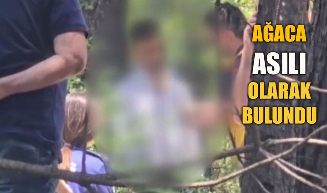 Karabük Şirinevler Mahallesi Kent Orman’da Olcay Sevdalı isimli şahıs ağaca