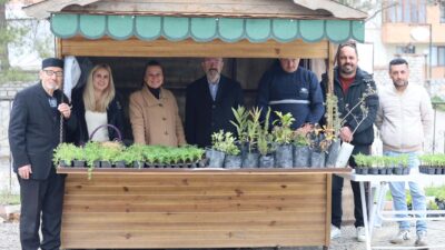 Safranbolu Belediyesi, bayram öncesi Şehir Mezarlığı’nda ücretsiz yerli tohum dağıtıyor.