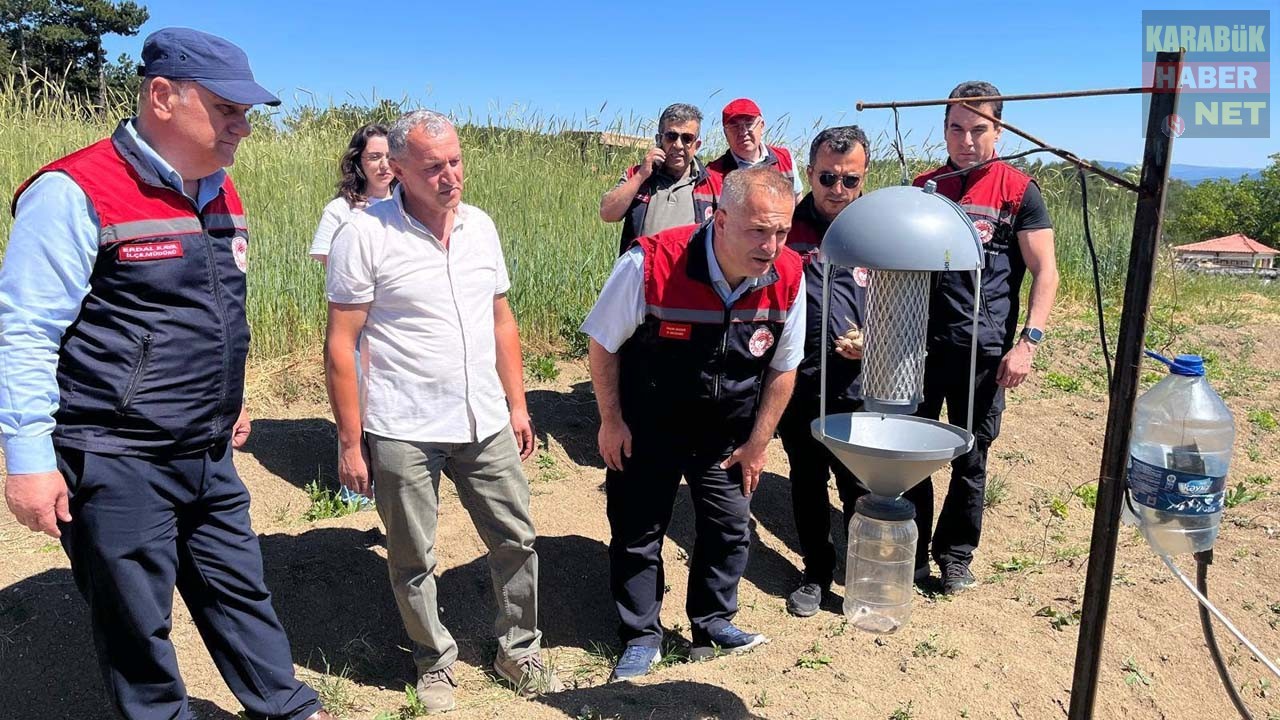 Karabük İl Tarım ve Orman Müdürü Yasin Önder, Safranbolu'nun en